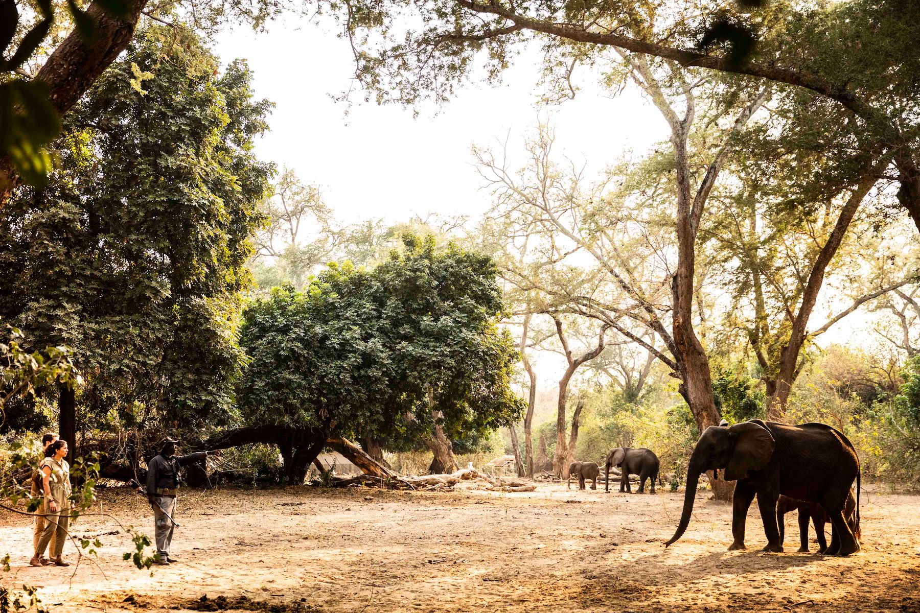 Little Ruckomechi Camp en Mana Pools