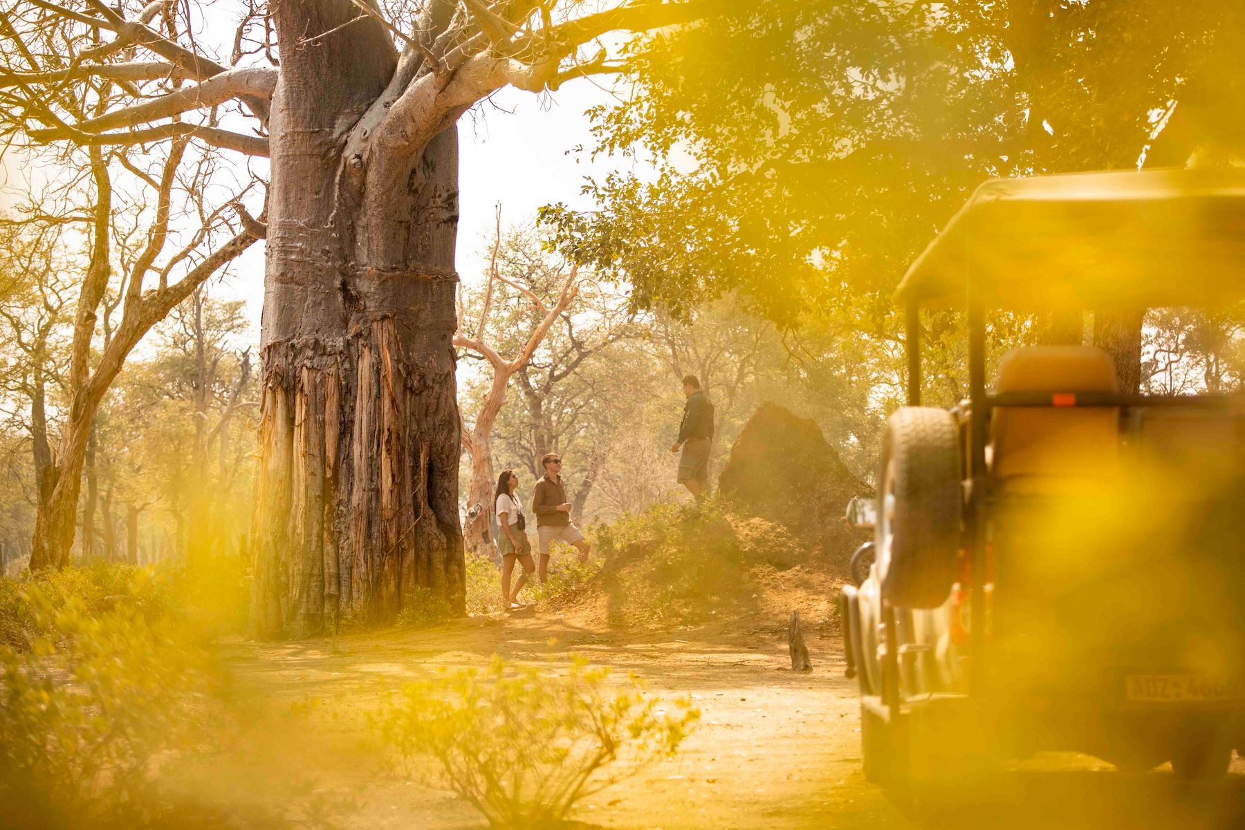 Little Ruckomechi Camp en Mana Pools
