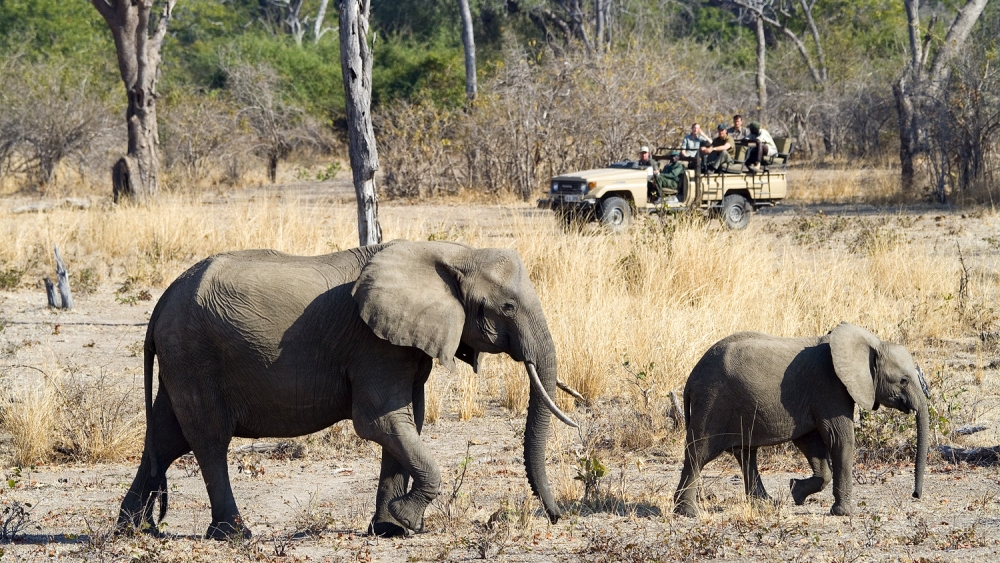 Luangwa River Camp en Luangwa Valley