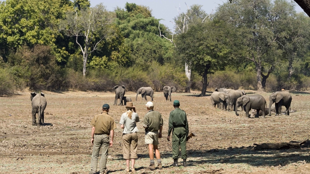 Luangwa River Camp en Luangwa Valley