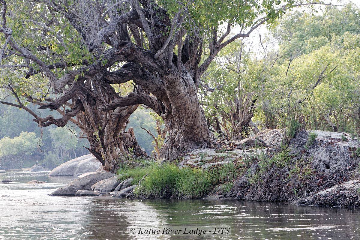 Lunga Kikuji Camp en Kafue