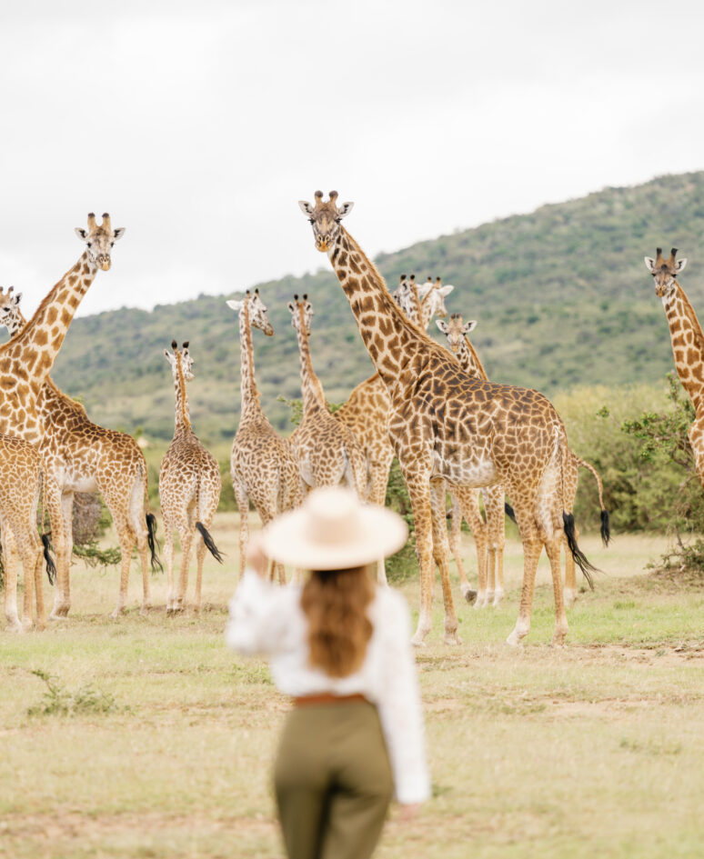 Salt lick mara bushtops © oliver fly photography 4