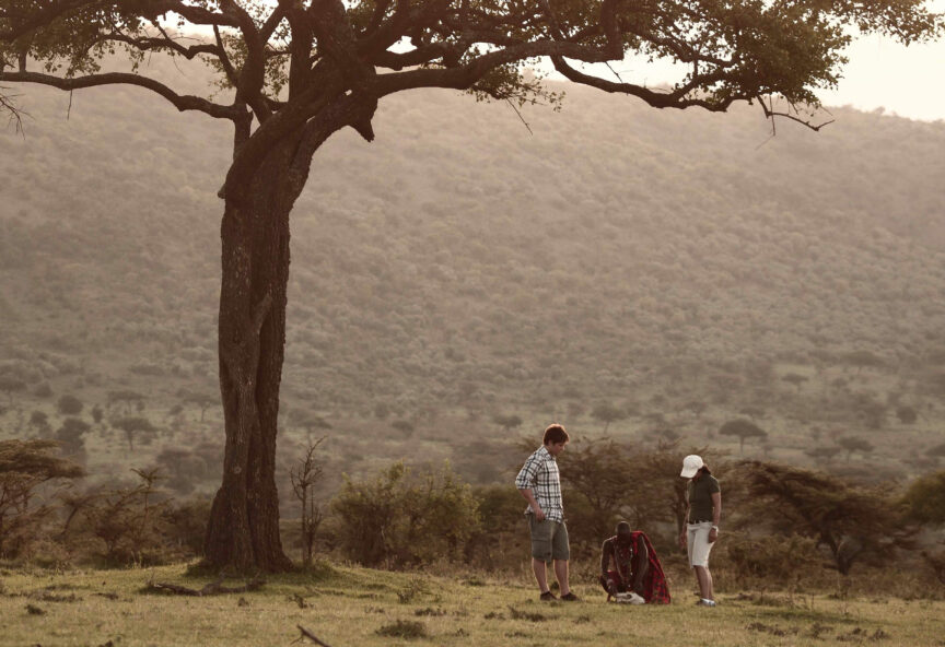 Walking safari mara