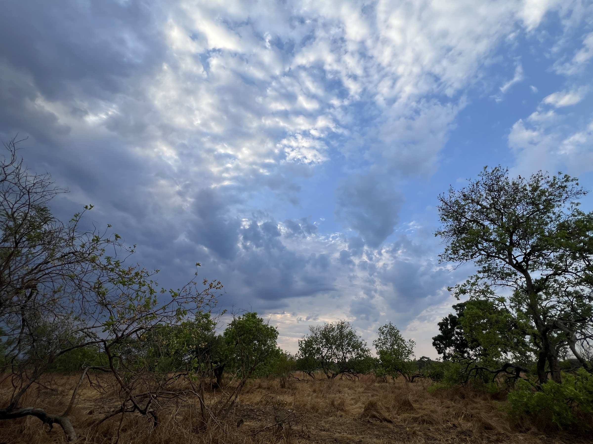 Mawimbi Bush Camp en Kafue