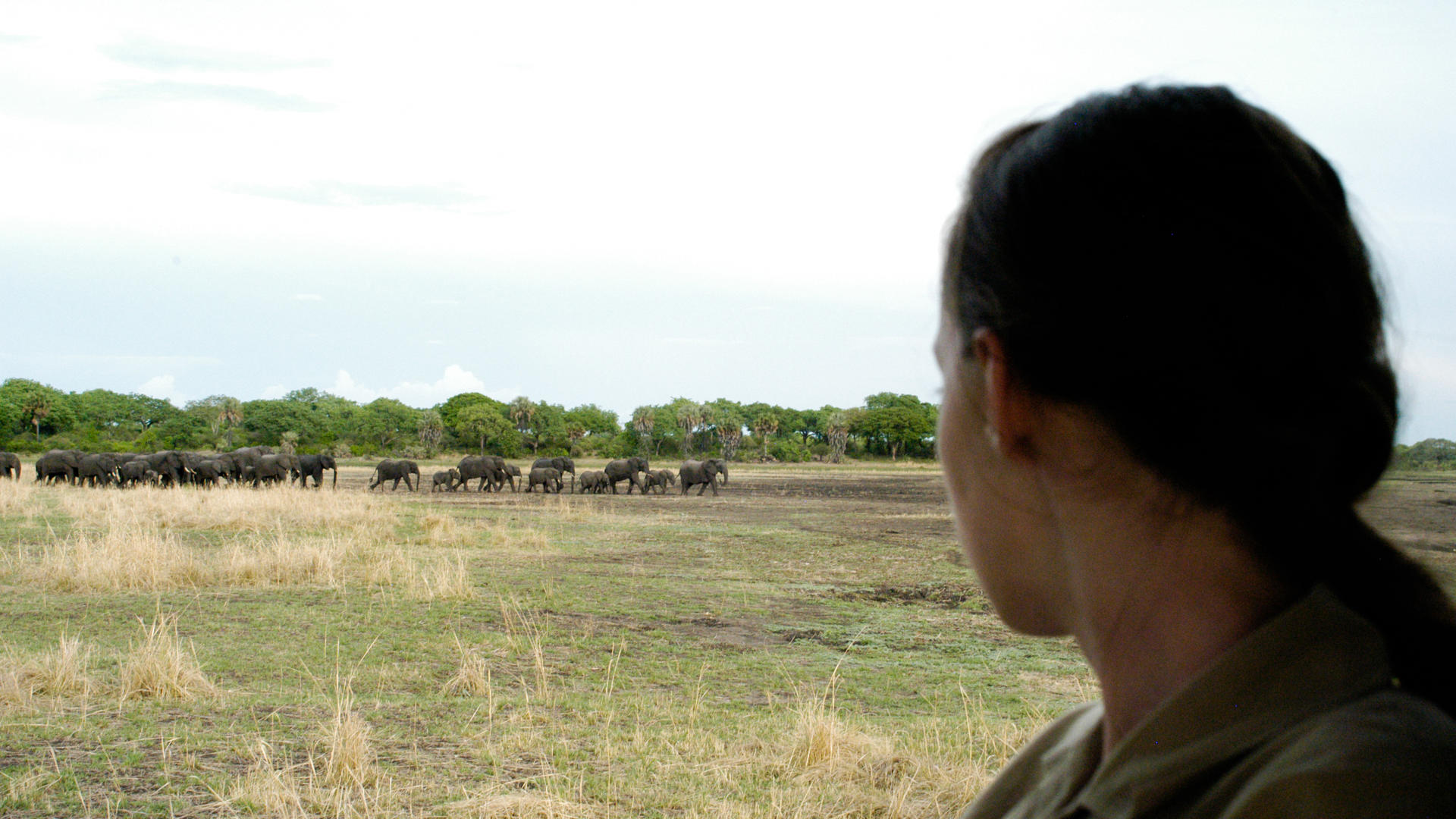 Mm katavi wildlife7