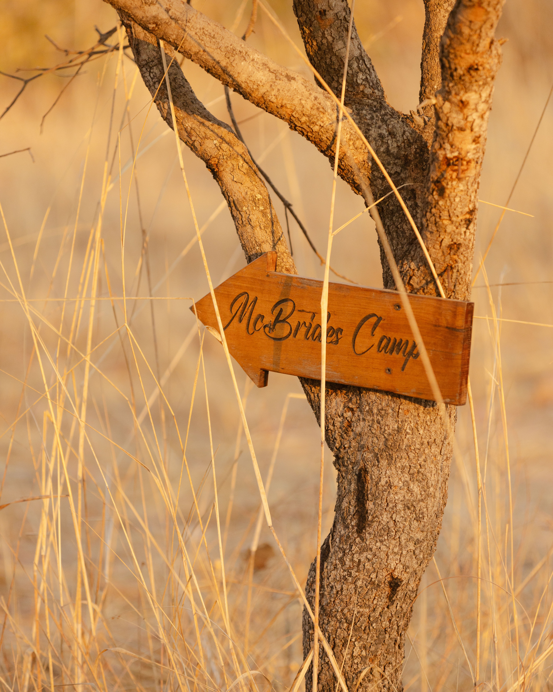 McBrides’ Camp en Kafue