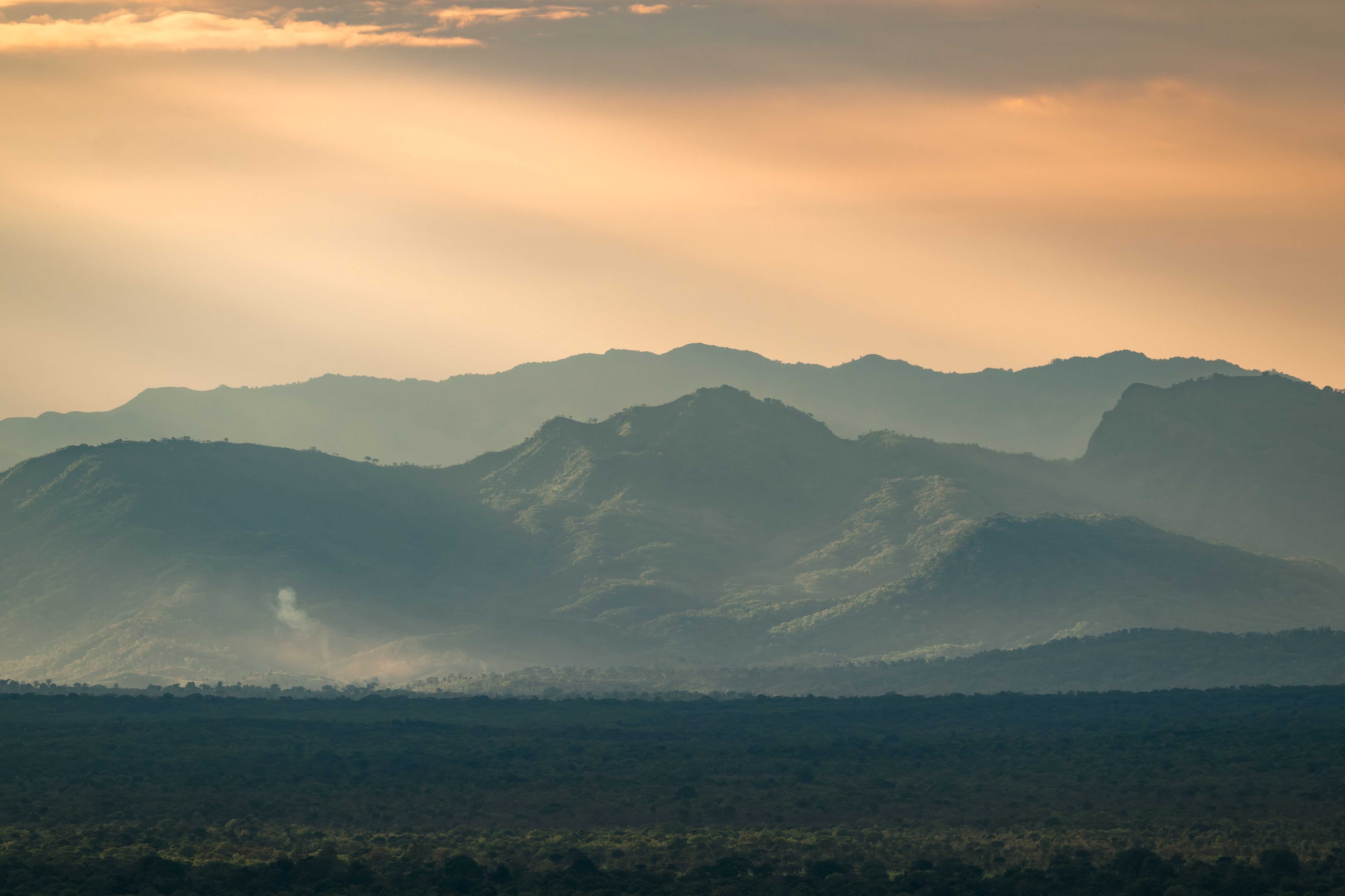 Wellworth mikumi wildlife lodge
