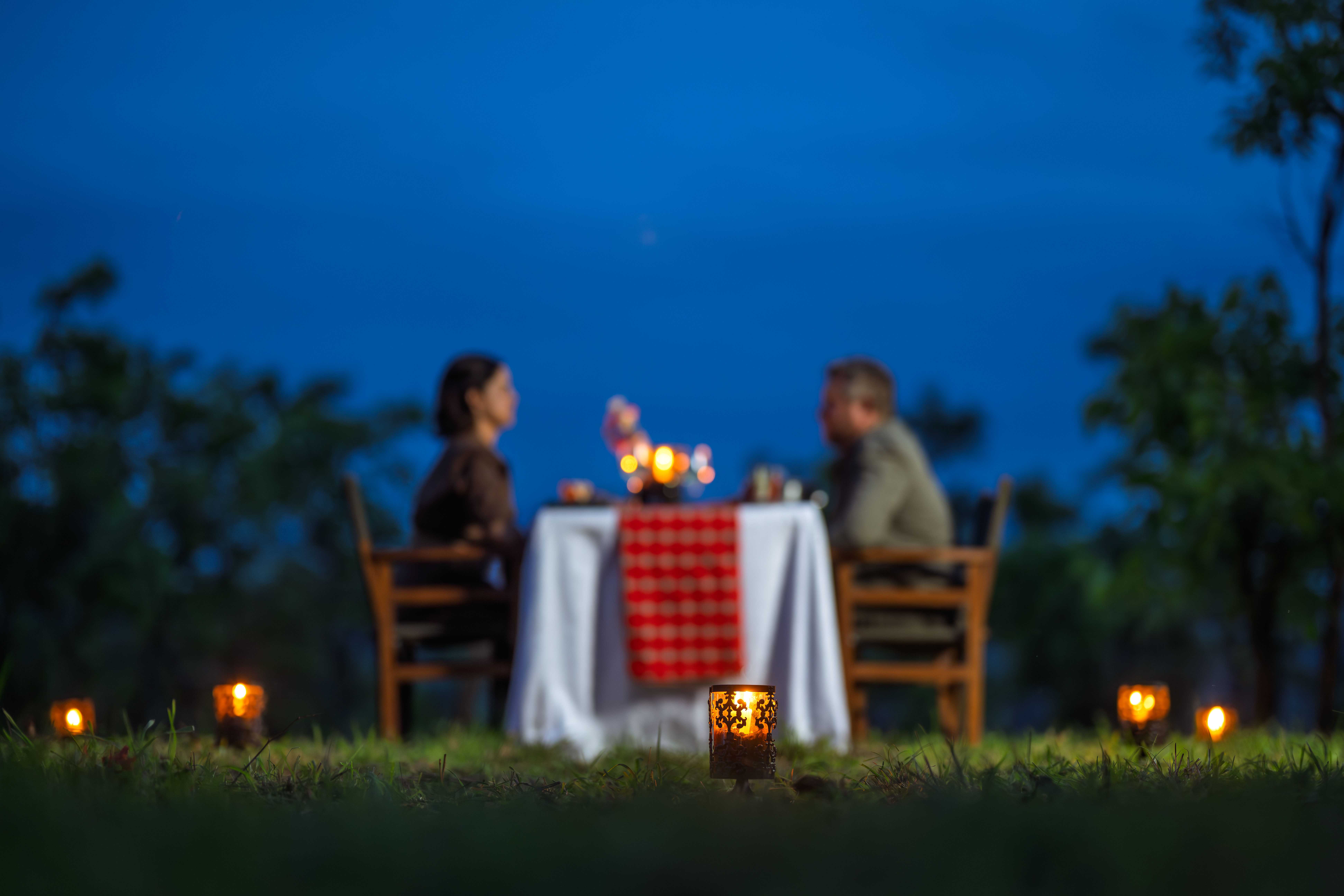 Wellworth mikumi wildlife lodge bush dinner