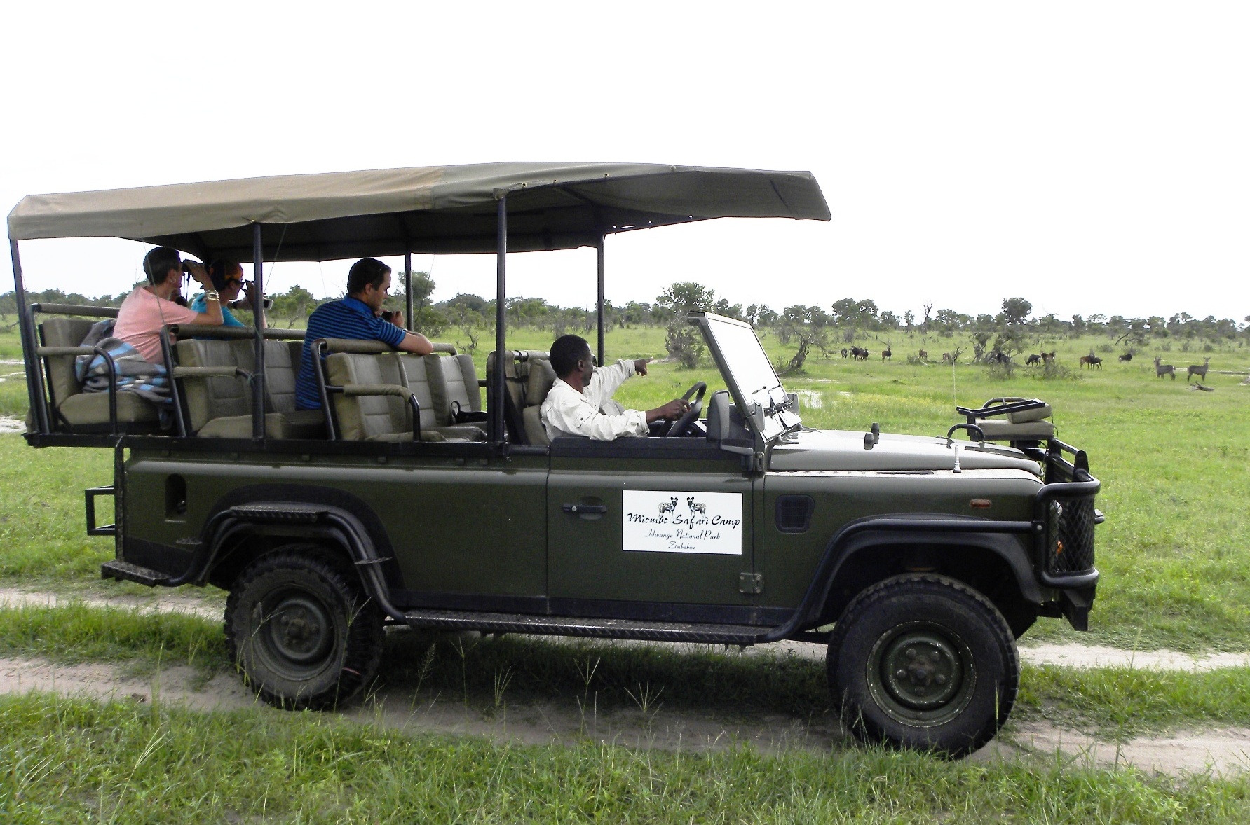 Miombo Safari Camp en Hwange