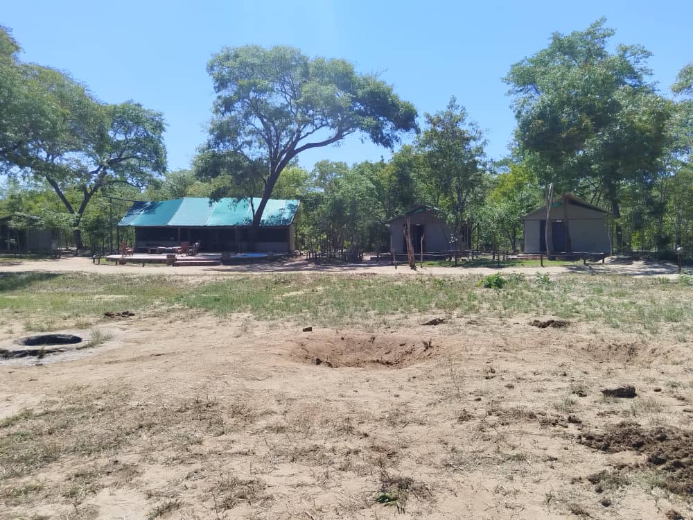 Miombo Safari Camp en Hwange