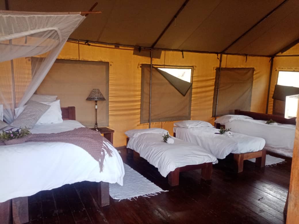 Miombo Safari Camp en Hwange