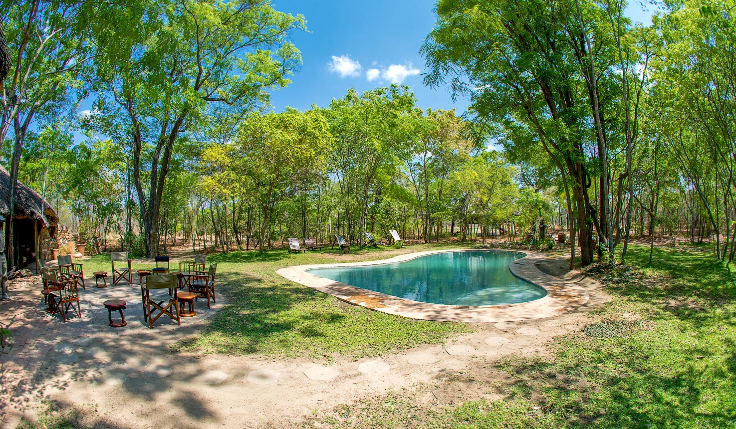Miombo Safari Camp en Hwange