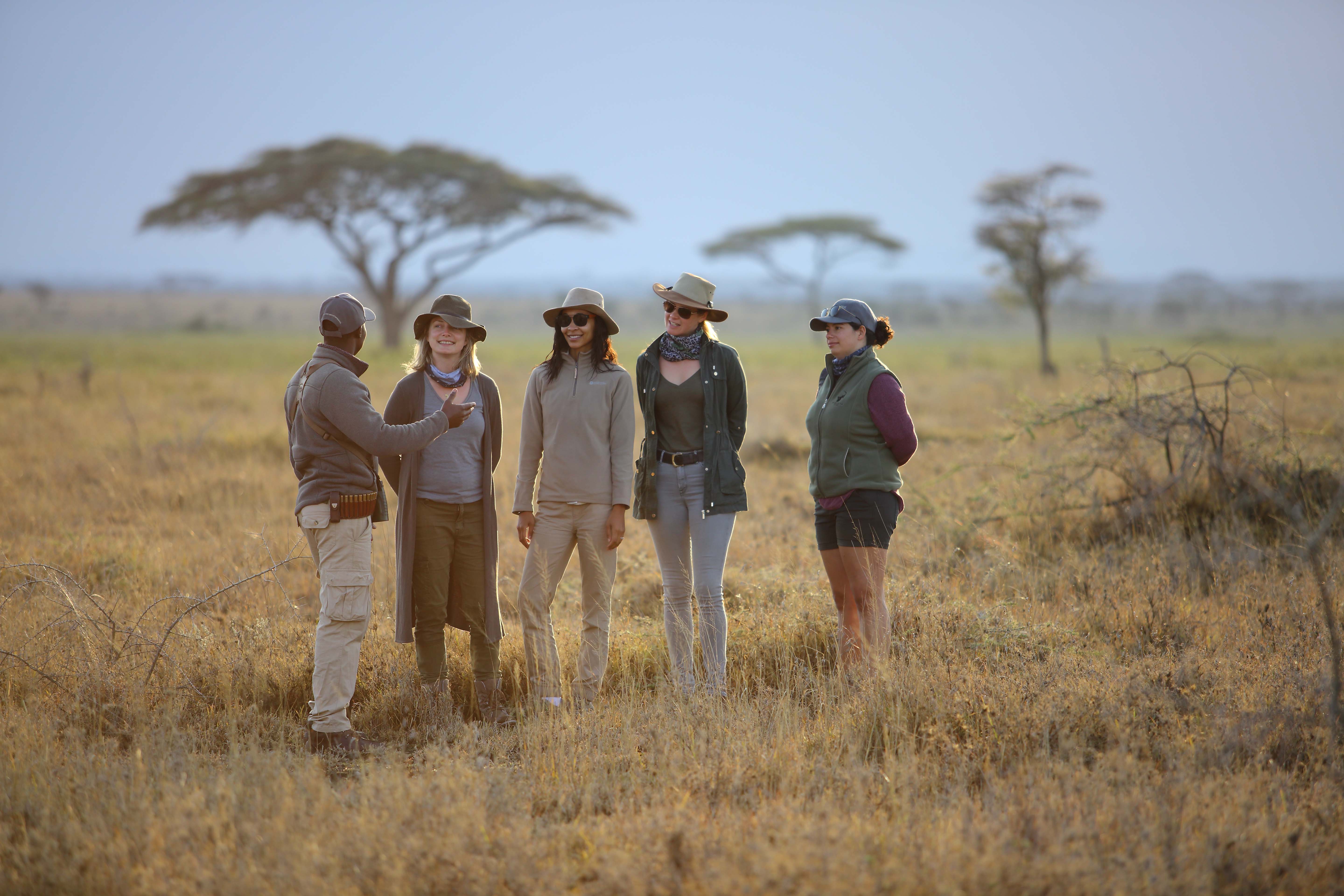 Miombo Safari Camp en Hwange