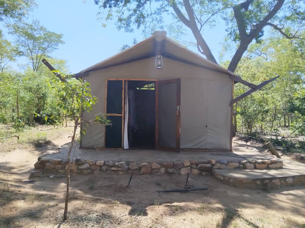 Miombo Safari Camp en Hwange