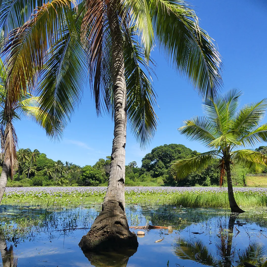 Mitsio Paradise en Nosy Mitsio