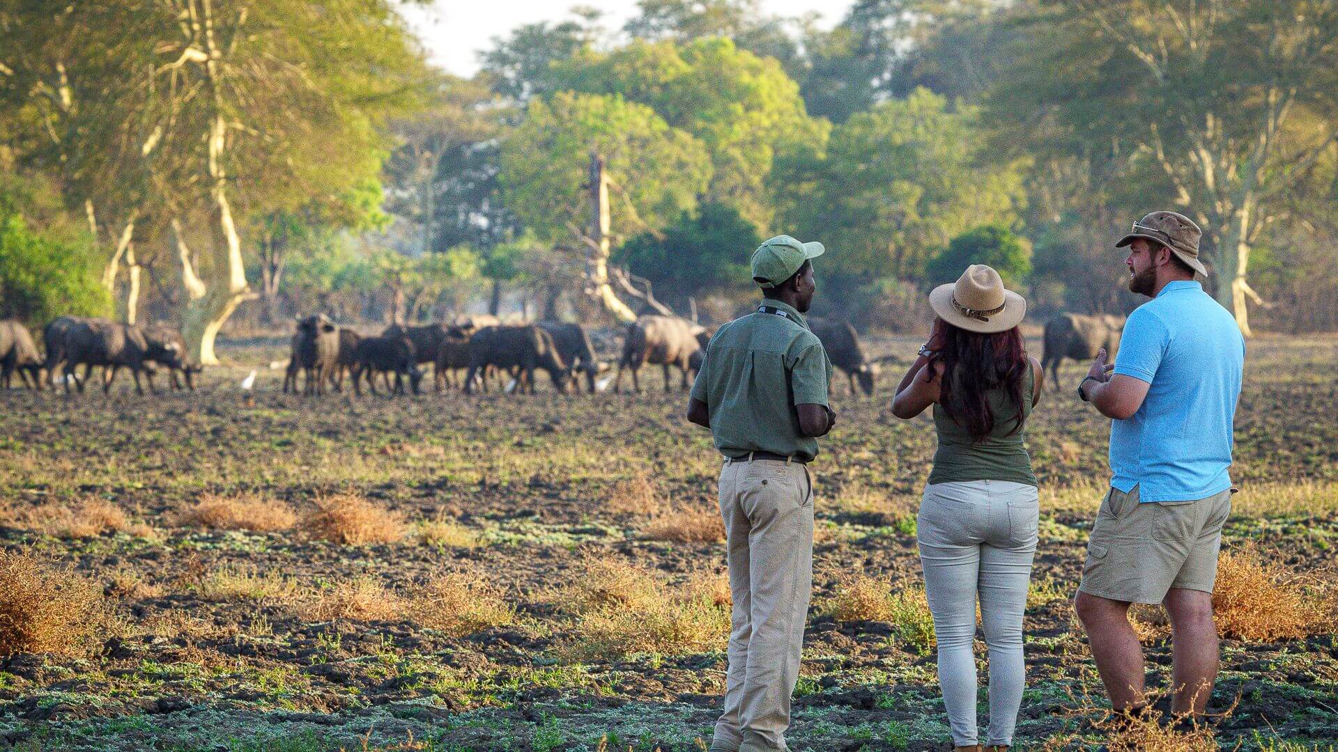 Reserva de Vida Silvestre de Majete | LAT.40