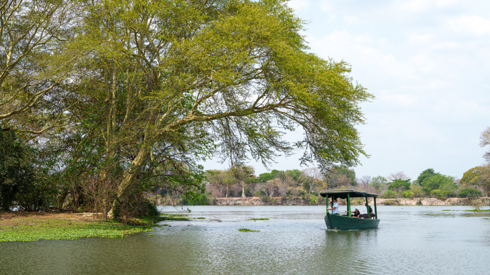Reserva de Vida Silvestre de Majete | LAT.40
