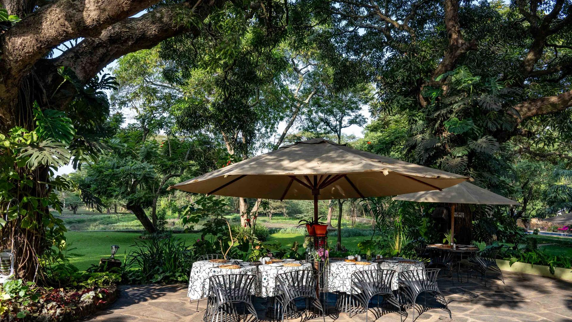 Mount Meru Game Lodge en Arusha