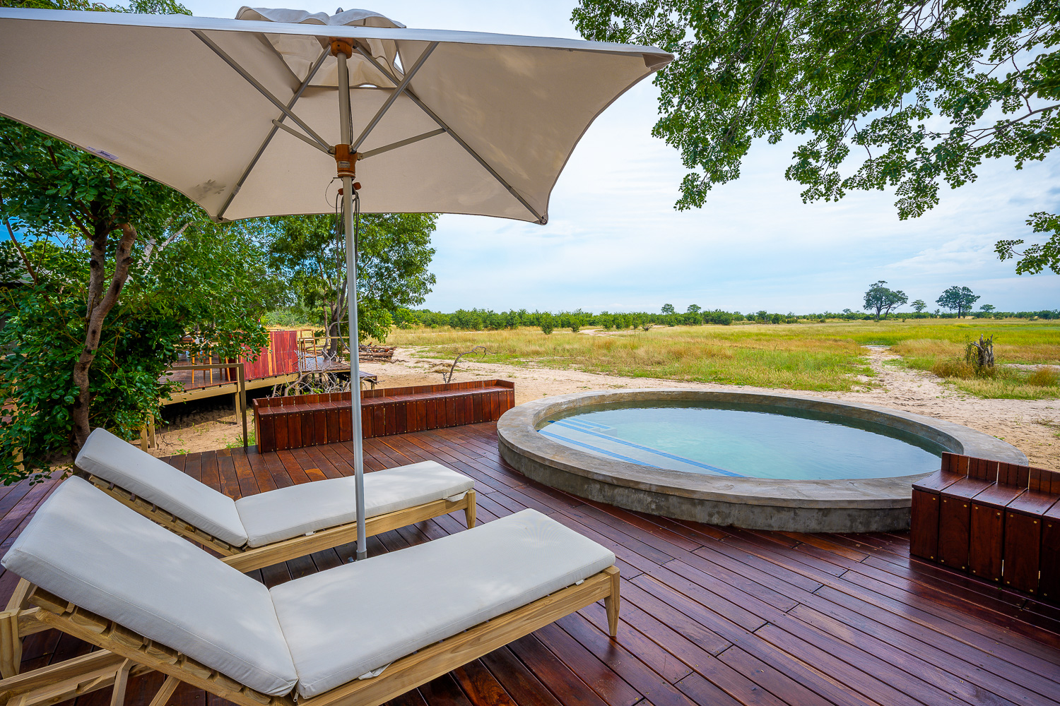 Muddy Teak en Hwange