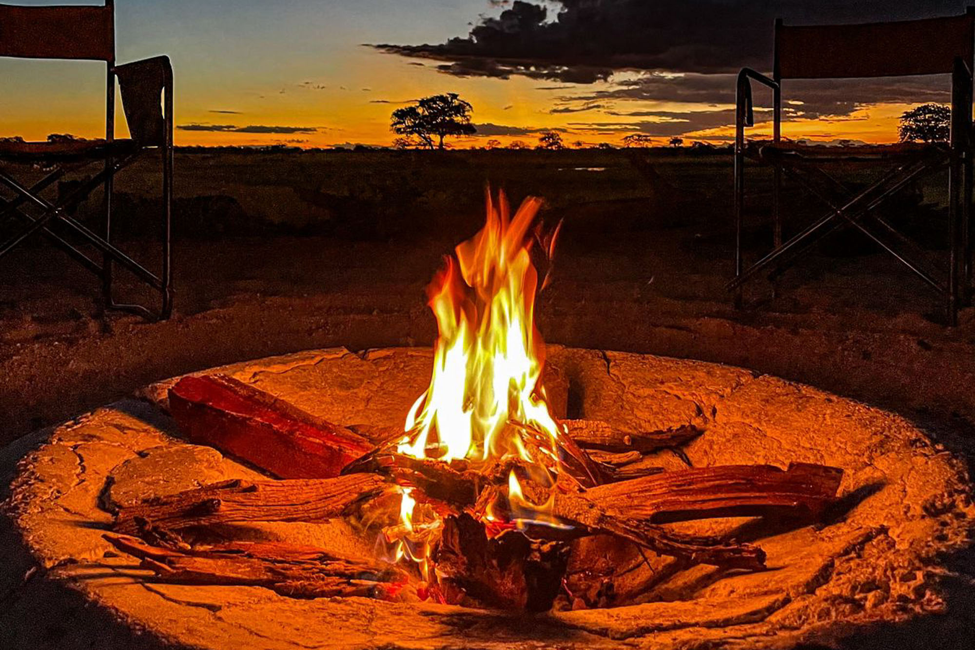 Muddy Teak en Hwange