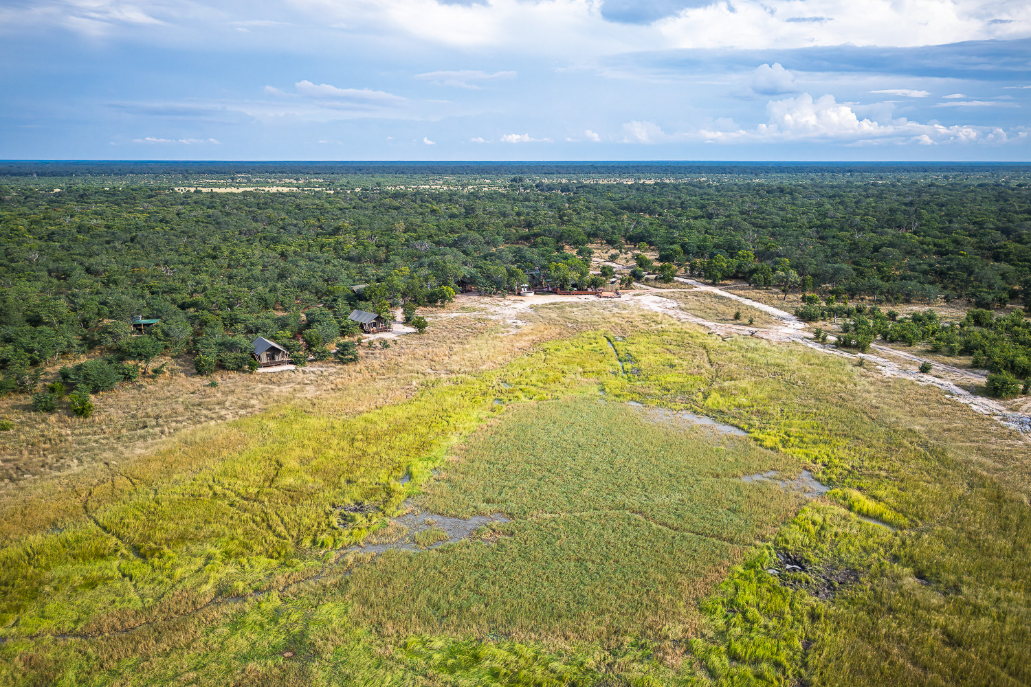 Muddy Teak en Hwange