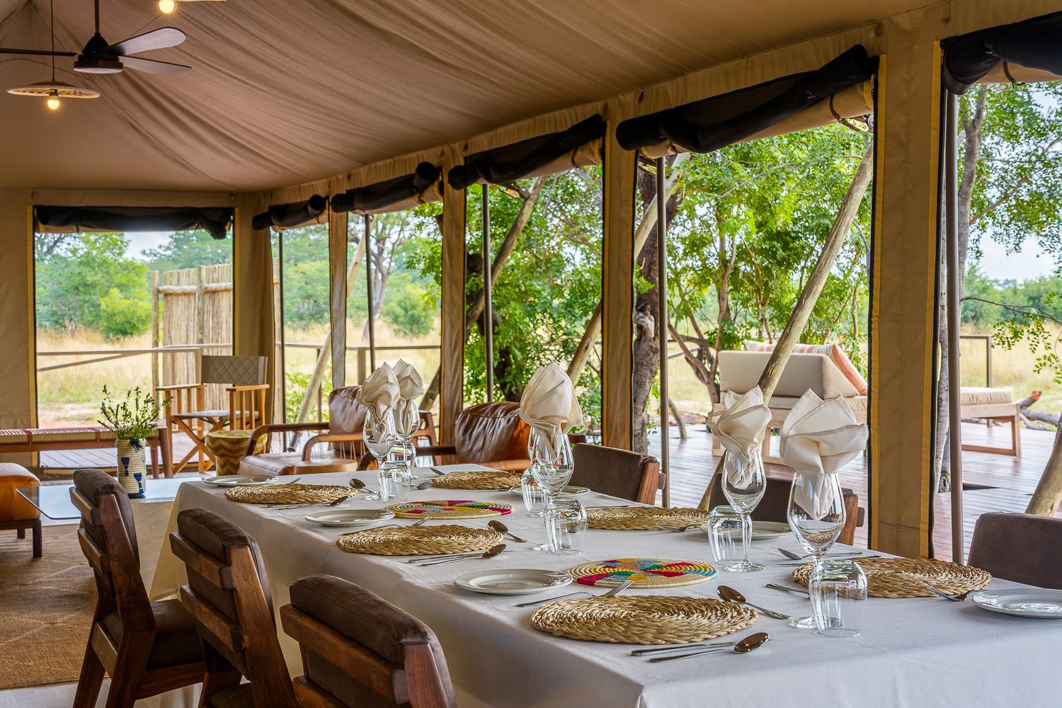 Muddy Teak en Hwange