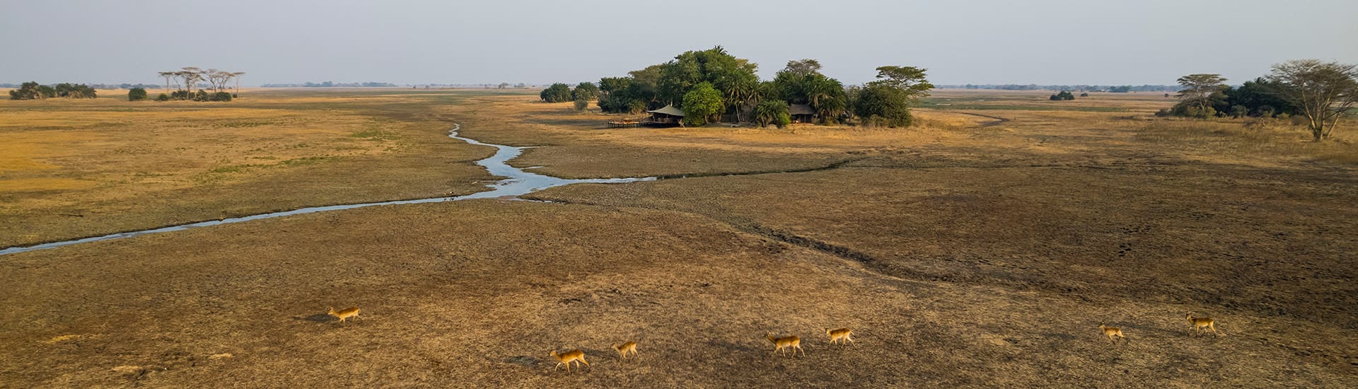 Mukambi Busanga Plains Camp en Busanga Plains