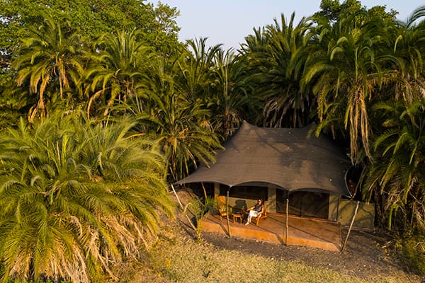 Mukambi Busanga Plains Camp en Busanga Plains