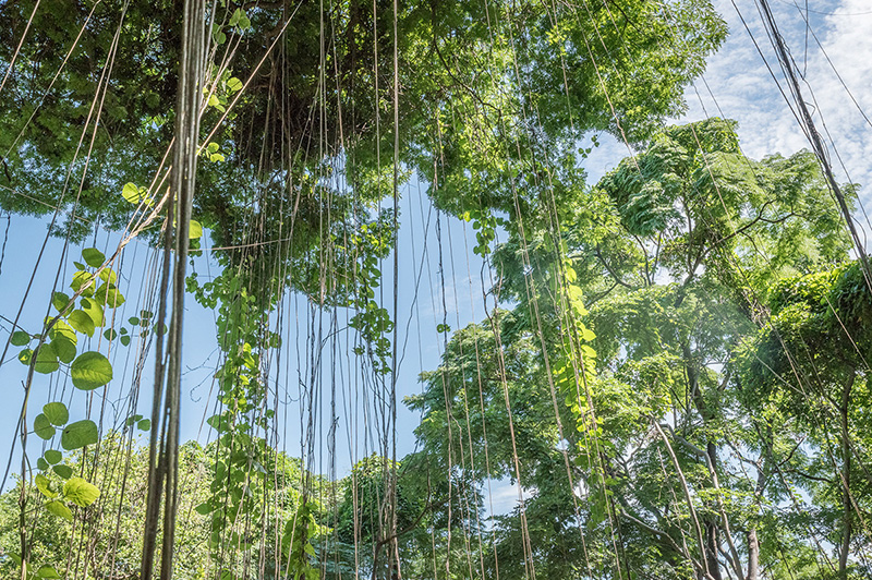 Mumbo Island Camp en Parque Nacional del Lago Malawi