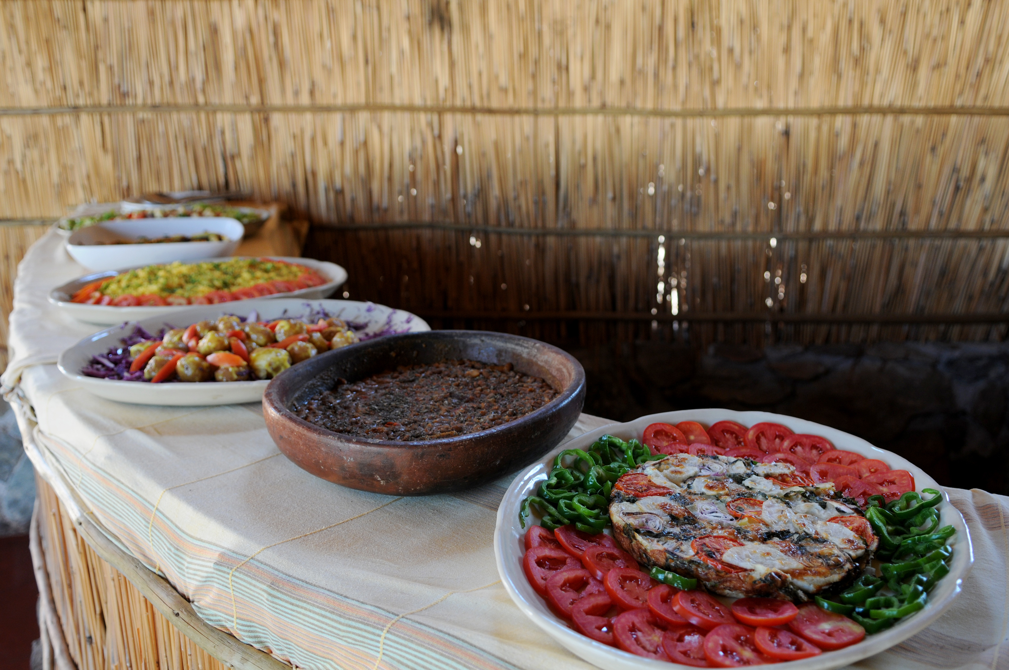 Mwagusi Safari Camp en Ruaha