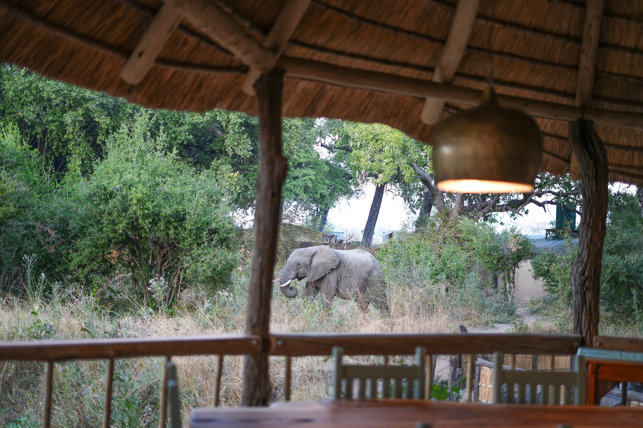 Mwamba Bush Camp en Luangwa Valley