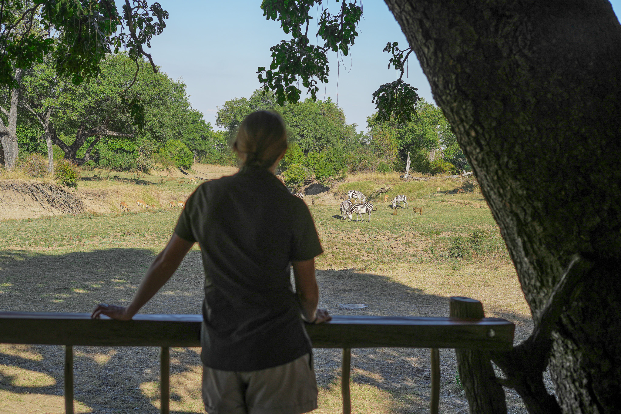 Mwamba Bush Camp en Luangwa Valley