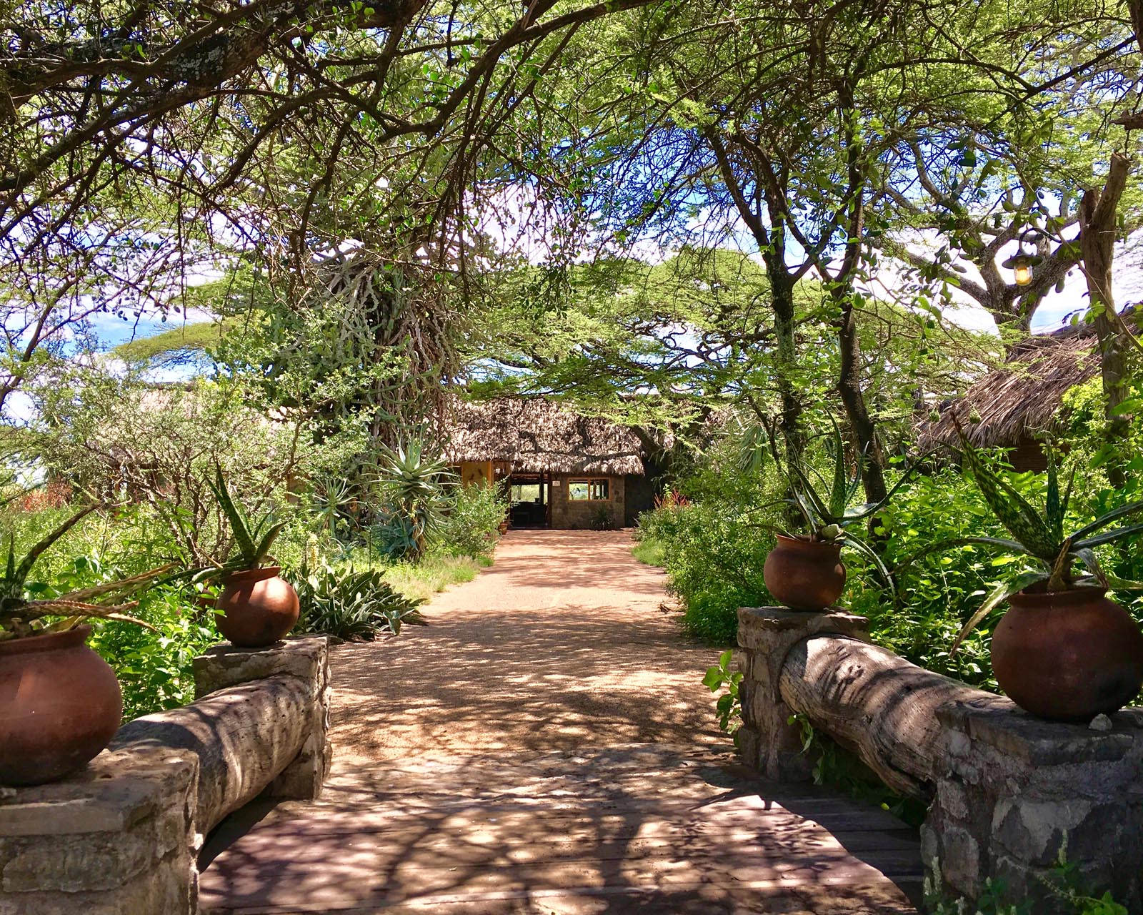Arrival at ndutu safari lodge