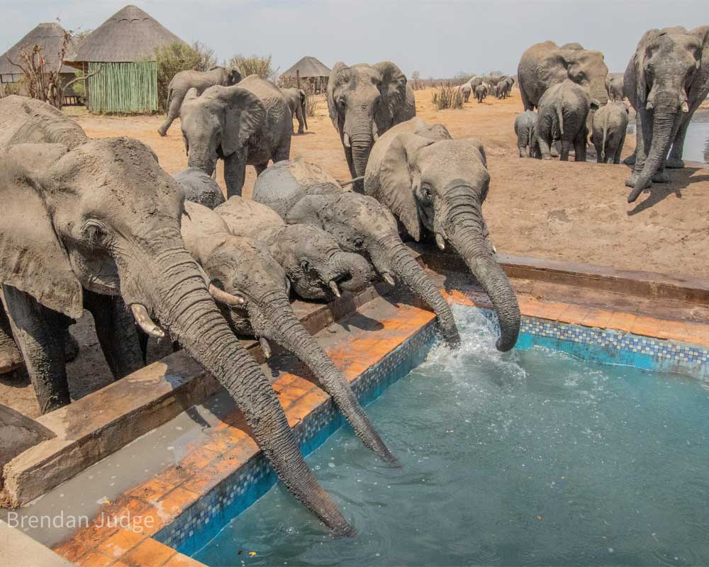 Nehimba Safari Lodge en Hwange