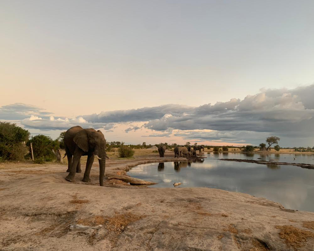 Nehimba Safari Lodge en Hwange