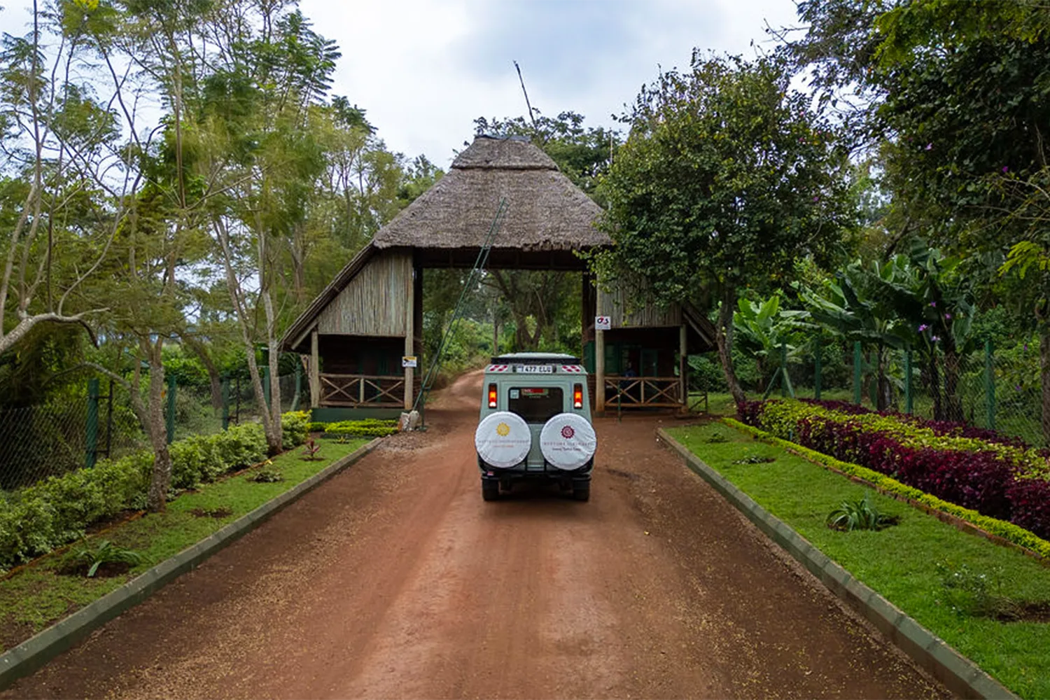 Neptune ngorongoro safari safarigamedrive