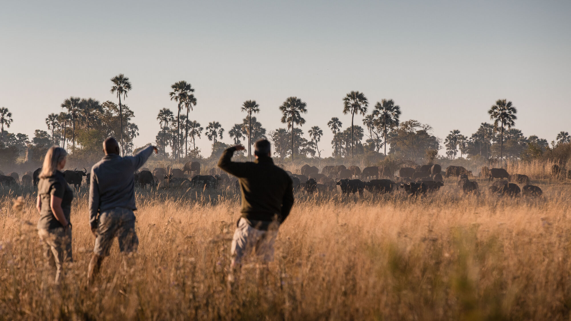 Nkonzi Camp en Luangwa Valley