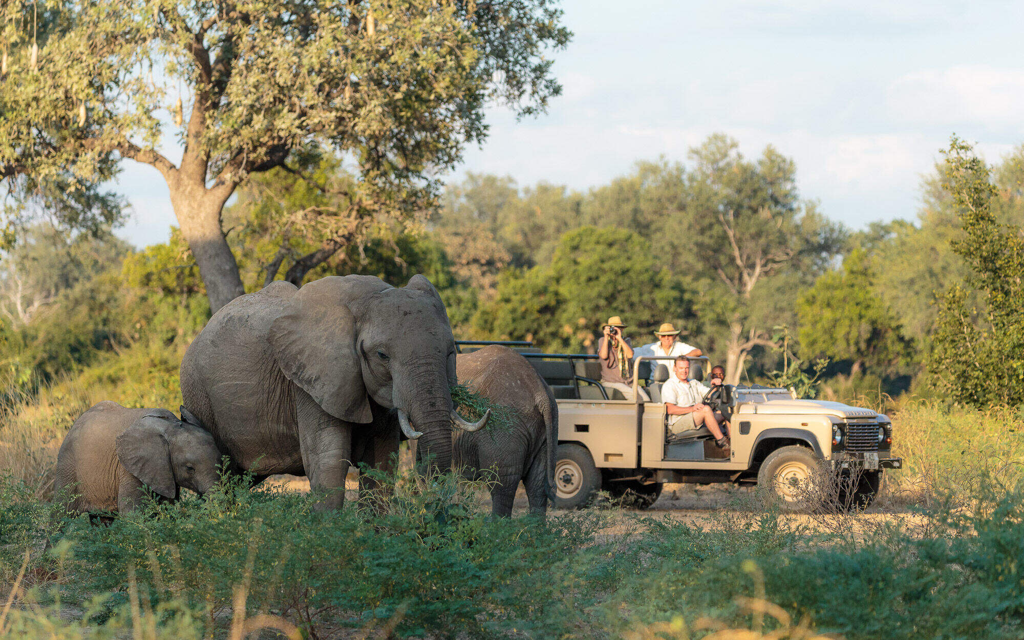 Nkonzi Camp en Luangwa Valley