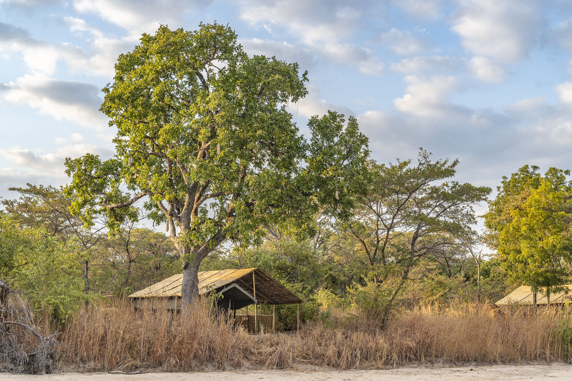 Nkonzi Camp en Luangwa Valley