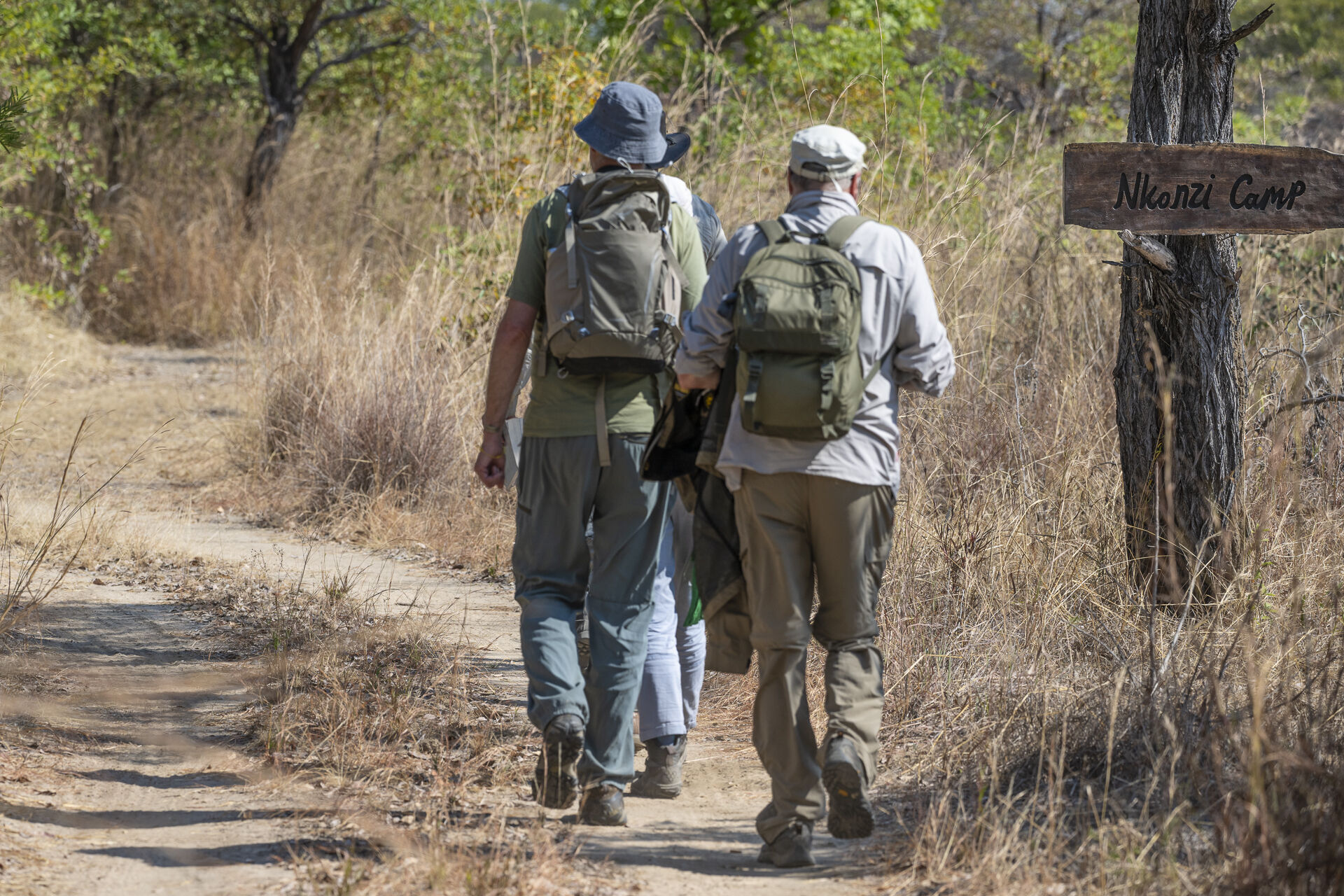 Nkonzi Camp en Luangwa Valley