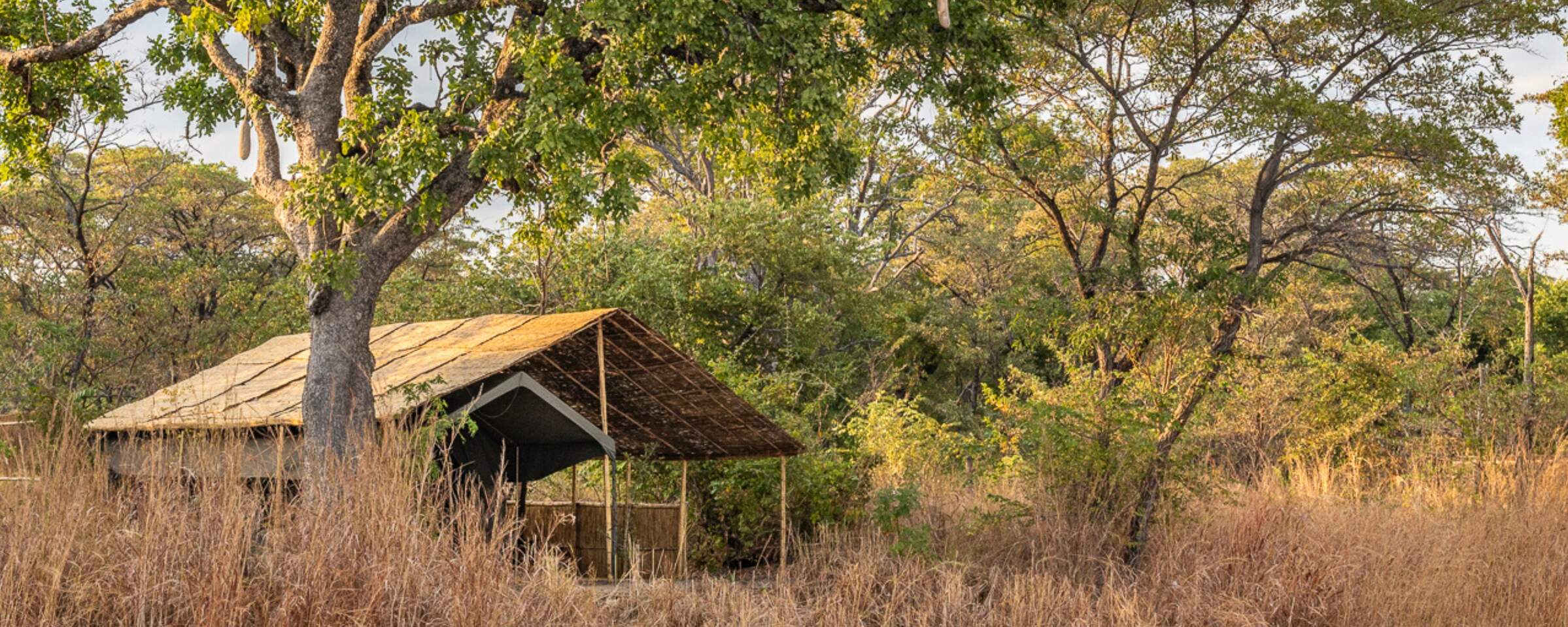 Nkonzi Camp en Luangwa Valley