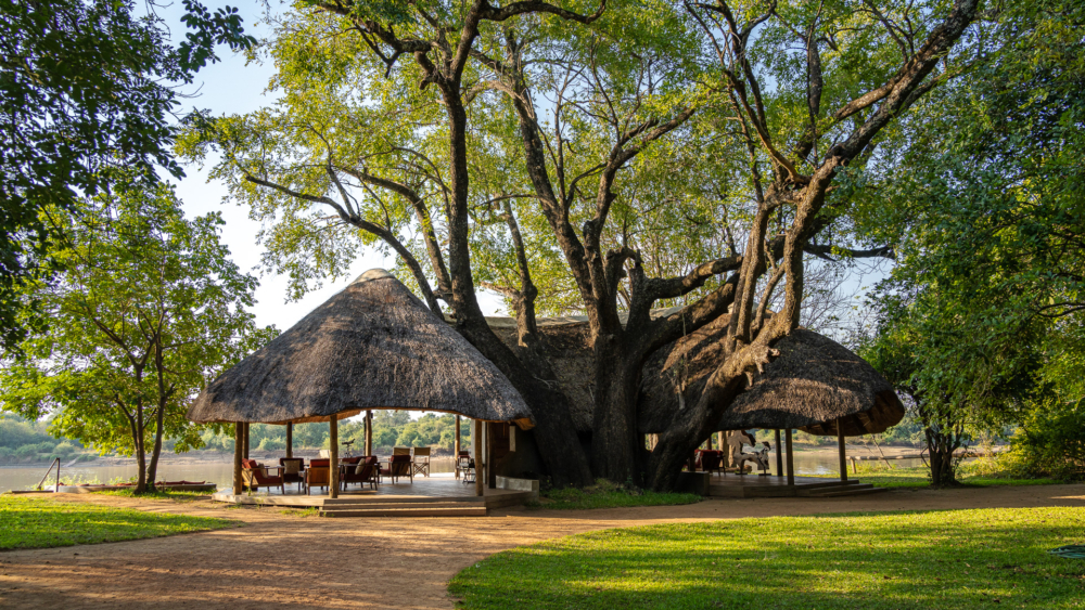 Nkwali Camp en su destino