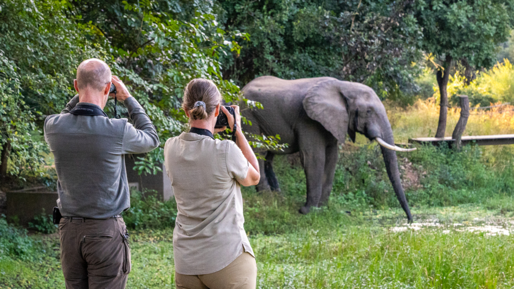 Nkwali Camp en Luangwa Valley