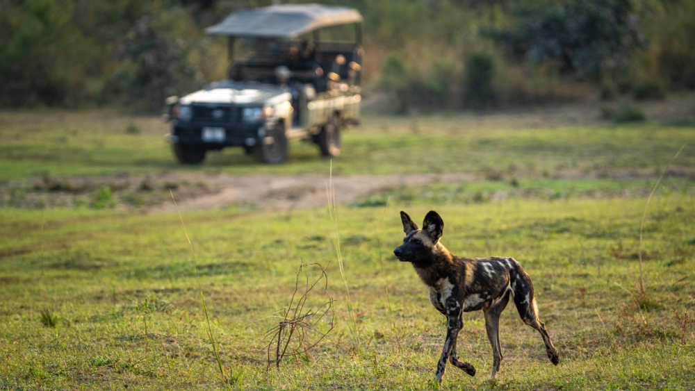 Nkwali Camp en Luangwa Valley