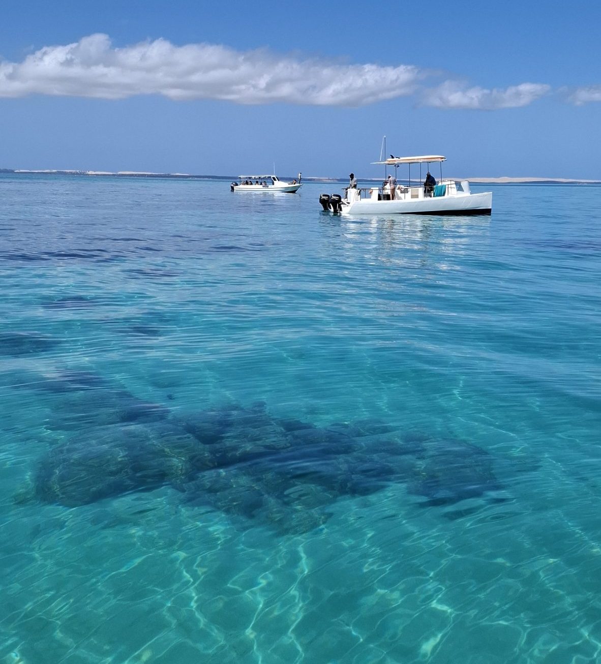 Snorkellingboat img scaled e1748470534699