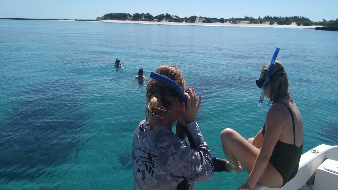 Snorkelling img