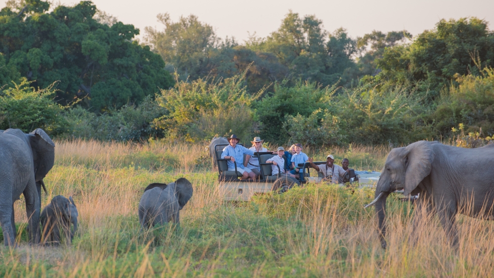 Robin's House en Luangwa Valley