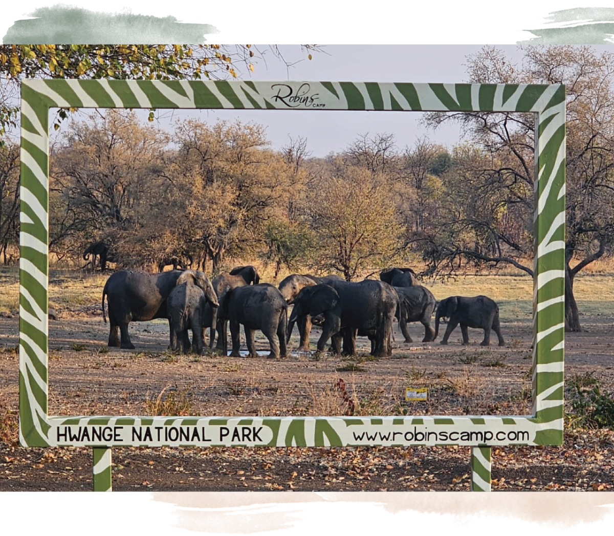 Robins Camp en Hwange