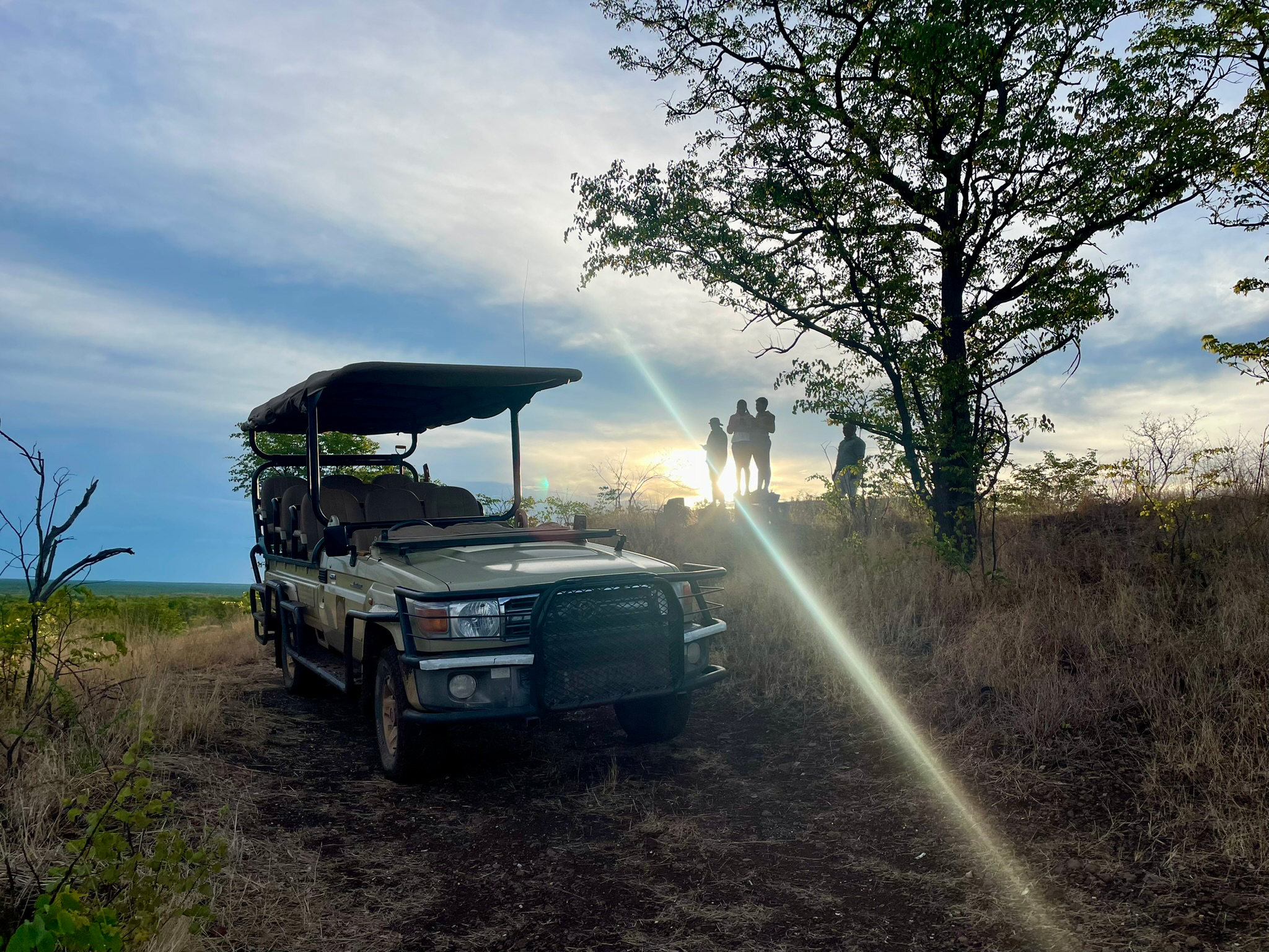 Robins Camp en Hwange