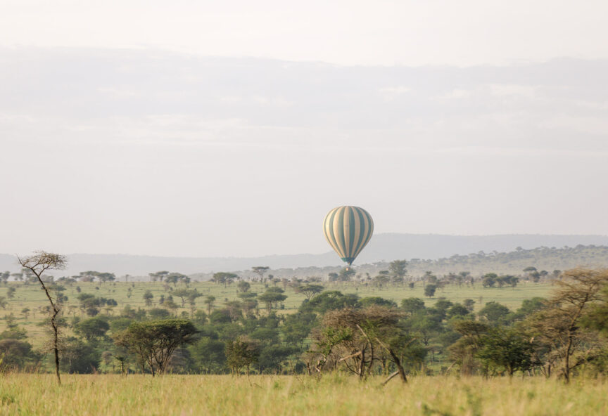Roving Bushtops en Serengeti